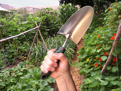 Homegrown Revolution
