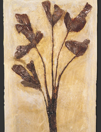 Fiori fossili