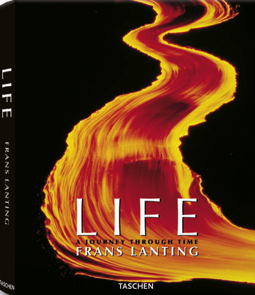 La copertina del libro di Lanting