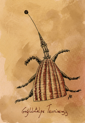 Andrea Aste, Grillotalpa tauriniensis