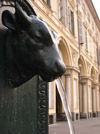 Il toretto di piazza San Carlo