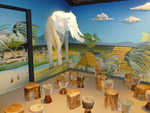 Sala Africa