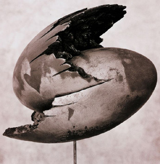 Michelangelo Tallone, Collisione